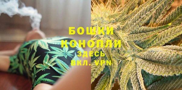 шишки Богородицк
