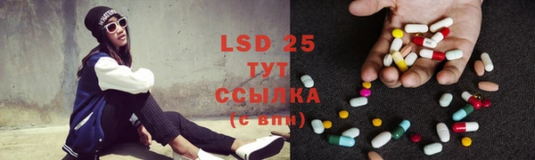 ПСИЛОЦИБИНОВЫЕ ГРИБЫ Богданович