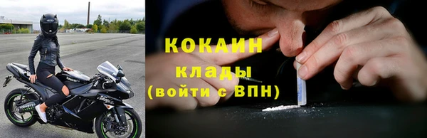 Альфа ПВП Богородск