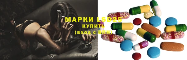 сатива Бронницы