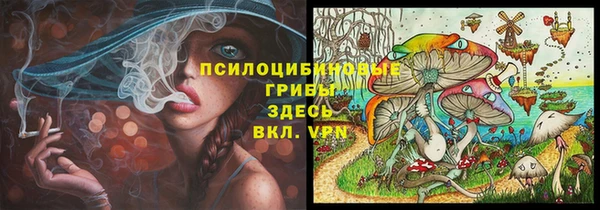 ПСИЛОЦИБИНОВЫЕ ГРИБЫ Богданович