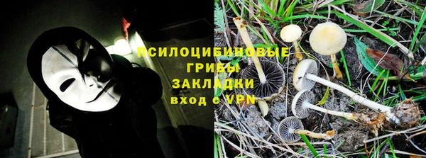 шишки Богородицк