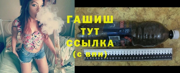 шишки Богородицк