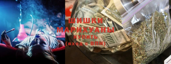 ПСИЛОЦИБИНОВЫЕ ГРИБЫ Богданович