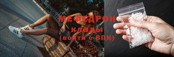 ПСИЛОЦИБИНОВЫЕ ГРИБЫ Богданович